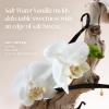 image:imageSaltair Salt Water Vanilla Body Lotion amp Body Oil Bundle  Hydrating Moisturizer Set for Women and Men  Nourishing NonGreasy Vegan Skin Care Duo
